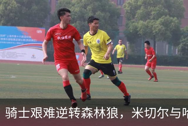 骑士艰难逆转森林狼，米切尔与哈登携新援展现实力